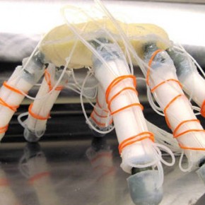 Chembot iRobot- Robot flexible